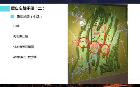 重庆房产投资概况(重庆新加坡中介公司)