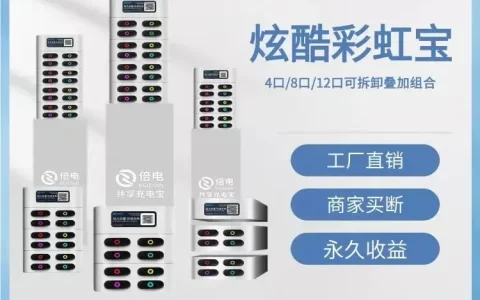 共享充电宝国外市场可以做吗？(新加坡睡宝公司)