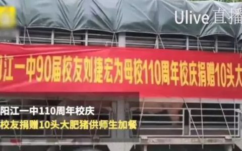 为什么不多进口些猪肉？这背后的产业链阴谋你不懂(鸡爪公司便宜新加坡)