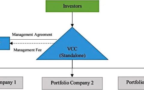新加坡可变动资本公司（VCC）— 境外私募基金设立地新选择(新加坡公司报税代理)