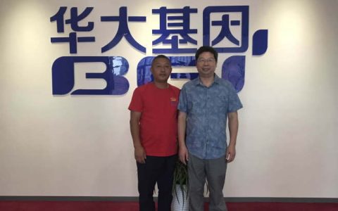 国内企业强强联手 将从基因角度进行南美白对虾育种(新加坡对虾育种公司)