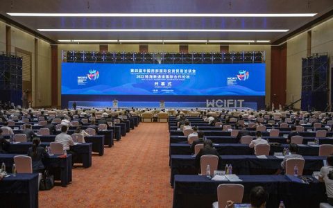 陆海新通道让中国西部“拥抱”世界(农业公司新加坡通道)