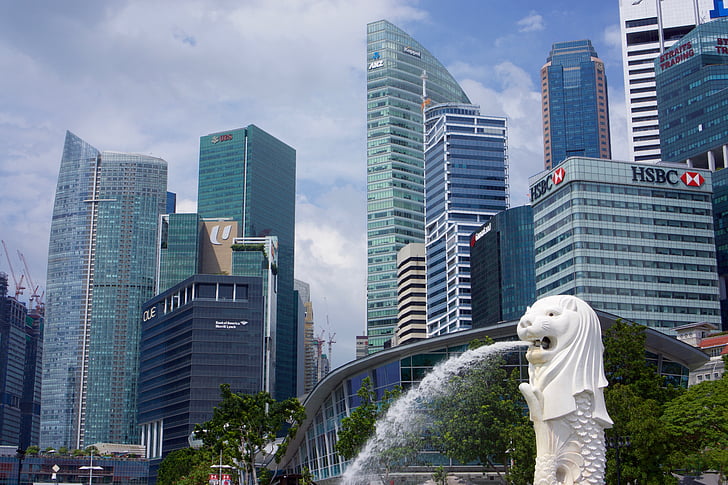 更加重视和提倡终身学习 新加坡管理学院品牌标识更新(新加坡公司标志照片)
