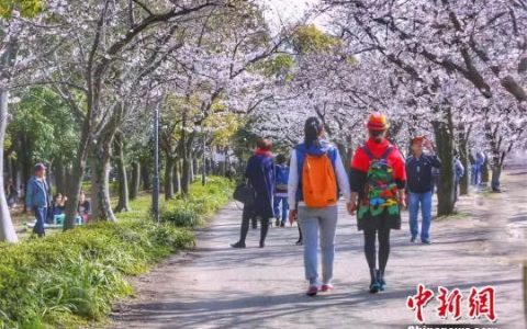 国庆短途出境游：亲子家庭游、境外租车自驾指南(新加坡旅行租车公司)