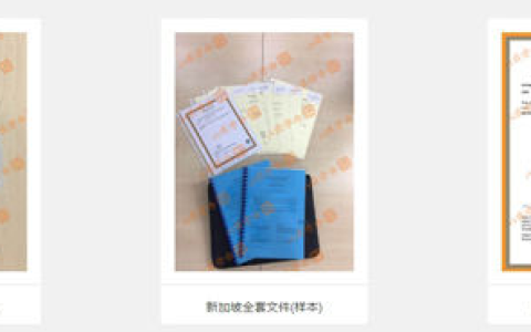 区块链公司怎么注册新加坡基金会？(新加坡公司审计方案)