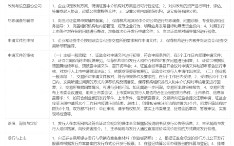 公司上市的条件和基本流程(公司上市新加坡条件)