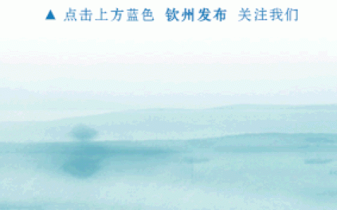 广西跨境跨国人民币电子缴税业务首次在自贸试验区钦州港片区落地(新加坡公司缴税期间)