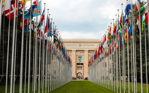国际税收：联合国投票干预税收权利分配规则(新加坡公司投票规则)