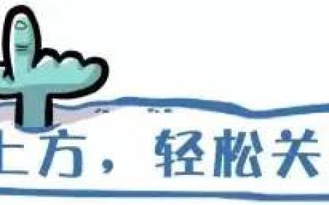全球十大拍卖公司排名与成交率较高拍卖公司名称(新加坡拍卖正规公司)