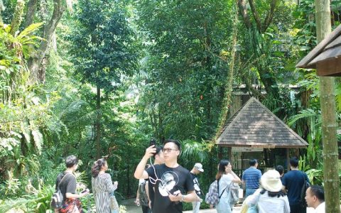 新加坡研学之旅圆满结束｜回顾这些不容错过的震撼设计(新加坡装修主题公司)