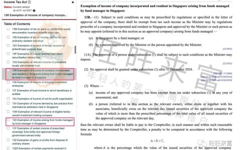 新加坡家族办公室 13R，年轻人的终极税务解决方案(新加坡公司税务号码)