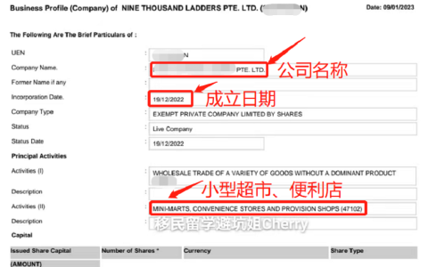 新加坡~自雇移民第一步公司注册成功啦~~~(注册新加坡公司步骤)