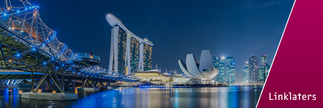 东南亚国家外商投资环境简报——新加坡篇(新加坡公司营业范围)