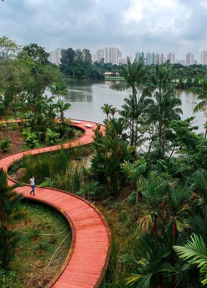 新加坡又开一个国家花园，还有花园节等你来逛！(新加坡花园保安公司)