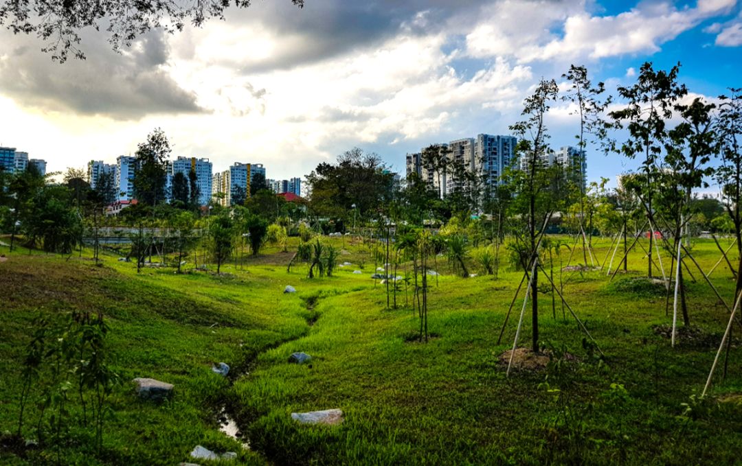 新加坡又开一个国家花园，还有花园节等你来逛！(新加坡花园保安公司)