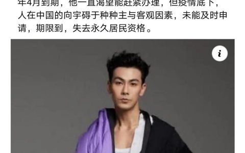 戴向宇痛失新加坡永久居住权！当地发展6年之久，国外比国内还红(新加坡幸福公司)