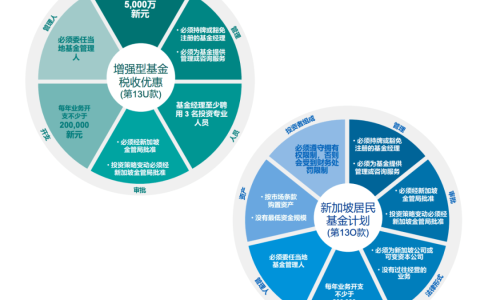 日益被关注的新加坡家族办公室(代持股 新加坡公司)