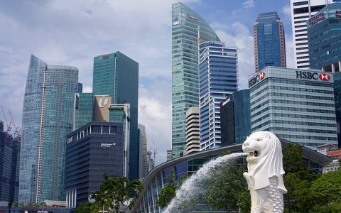 宁波柯力传感科技股份有限公司关于 使用闲置自有资金委托理财的进展公告(新加坡基金担保公司)