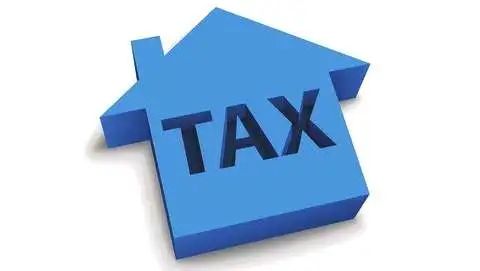 审计报税 | 新加坡公司税收制度详解，及现行的主要税种(新加坡公司不报税)