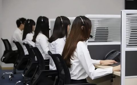 洞察 | 智能客服企业卷到东南亚，能否卷出个未来？(新加坡标签公司招聘)