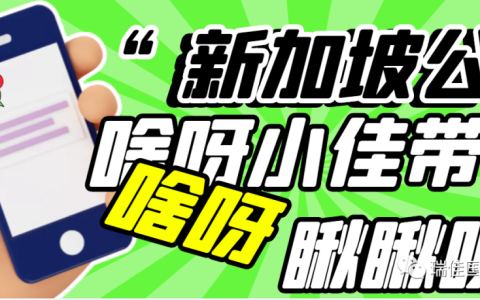 你应该了解的新加坡公司(新加坡公司股份规定)